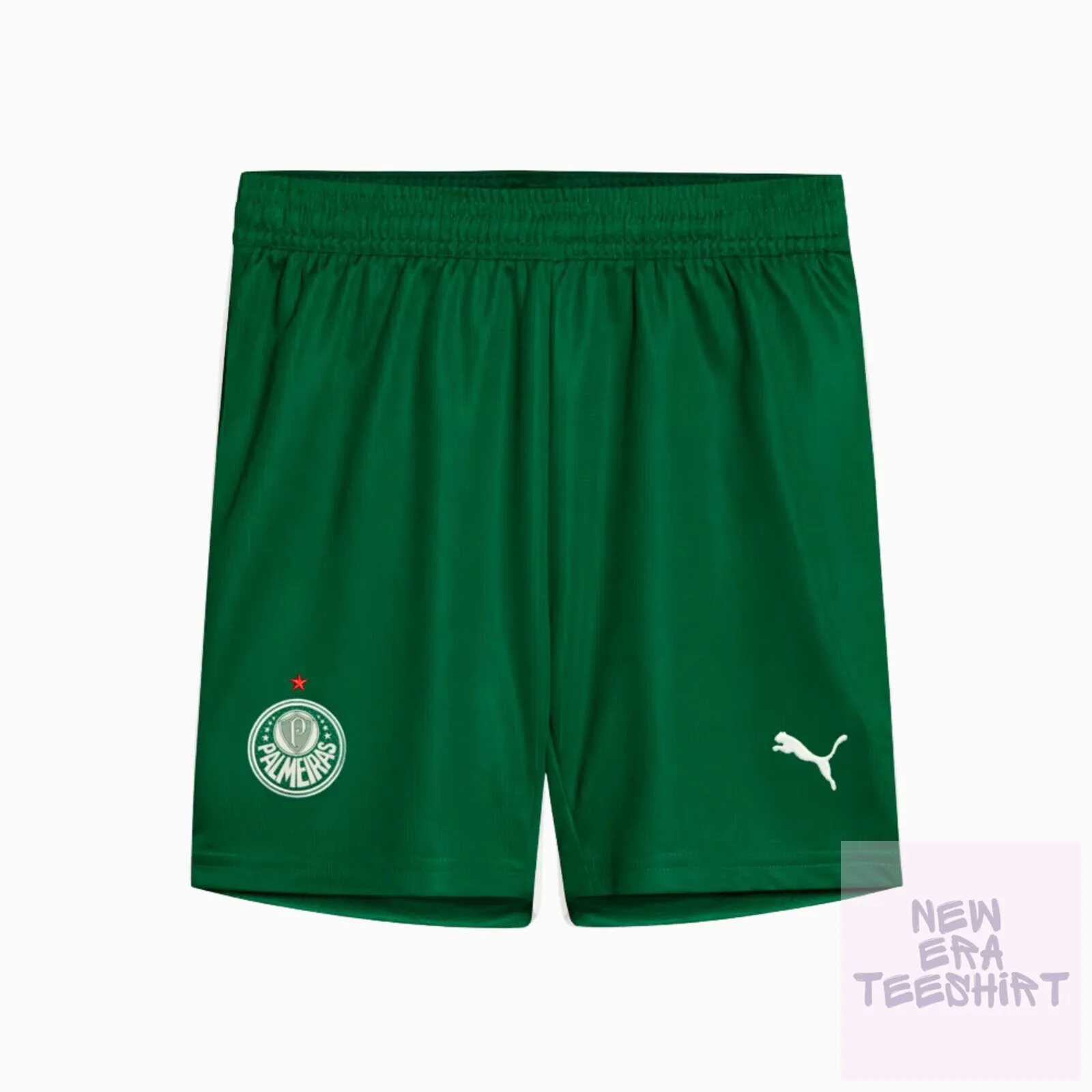 Palmeiras Away Soccer Team Shorts