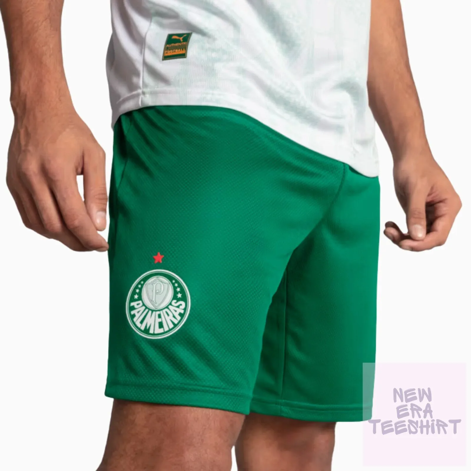 Palmeiras Away Soccer Team Shorts 6 Palmeiras Away Soccer Team Shorts